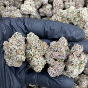 PURPLE STARBURST