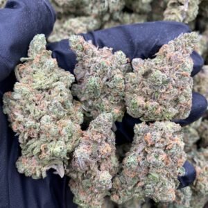 EXOTIC BLUE DREAM STRAIN