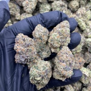 STRAWBERRY PUSHPOPZ STRAIN