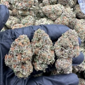 BERRY CREAM PIE STRAIN