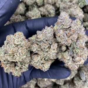 import placeholder for 4558