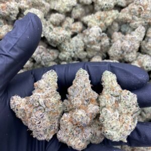 BLUEBERRY SLUSHEE STRAIN