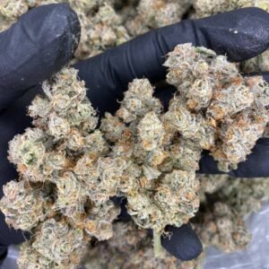 BROKE BOY REPELLENT STRAIN