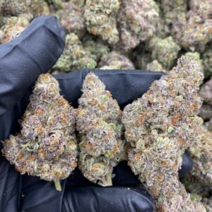 DARK RAINBOWZ STRAIN