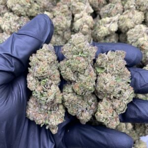 DOUBLE CHERRY RUNTZ STRAIN