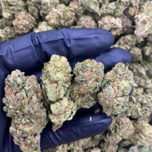 import placeholder for 4350