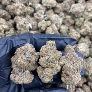 PERMANENT MARKET STRAIN