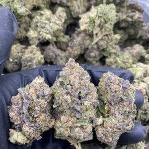 PINK TURBO RUNTZ STRAIN