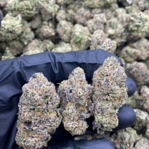 import placeholder for 4376