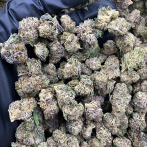 PURPLE CRÈME SODA STRAIN