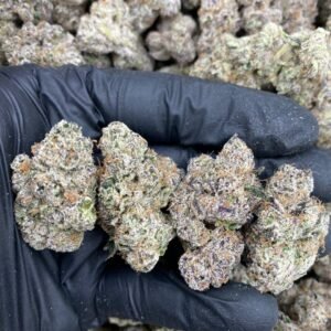 PURPLE STARBURST STRAIN