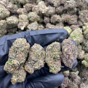 RECKLESS RUNTZ STRAIN