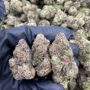 RAINBOW ZKITTLEZ RUNTZ STRAIN