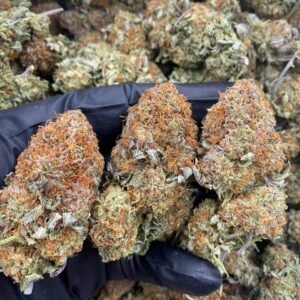 WHITE FIRE BUBBAS STRAIN