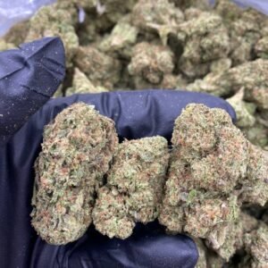 WHITE ZKITTLEZ STRAIN