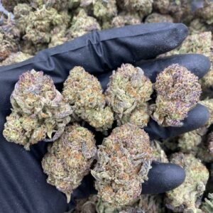 ZABERRY CHEESECAKE STRAIN